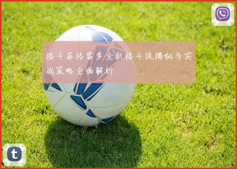 格斗菲格雷多全新格斗技揭秘与实战策略全面解析