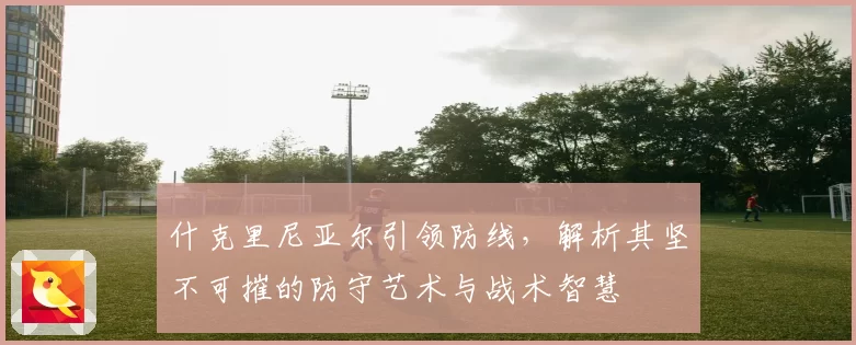 什克里尼亚尔引领防线，解析其坚不可摧的防守艺术与战术智慧