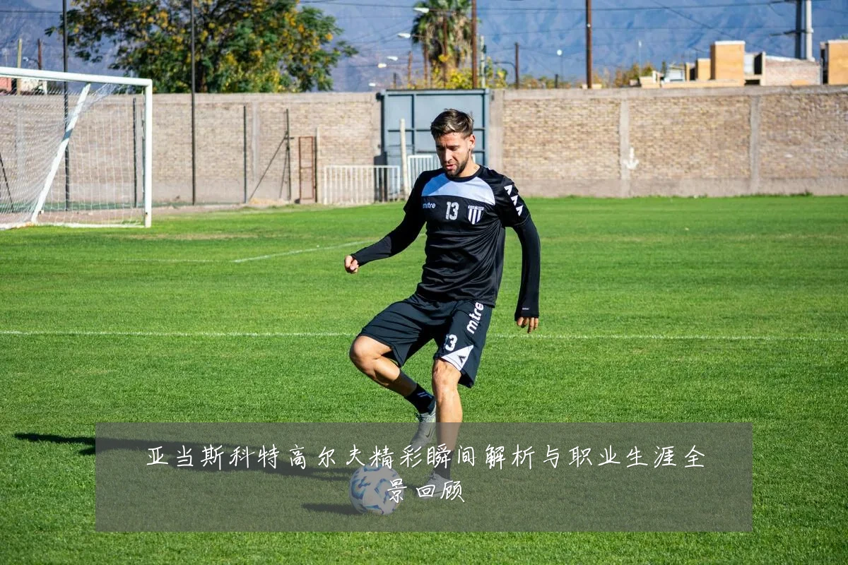亚当斯科特高尔夫精彩瞬间解析与职业生涯全景回顾