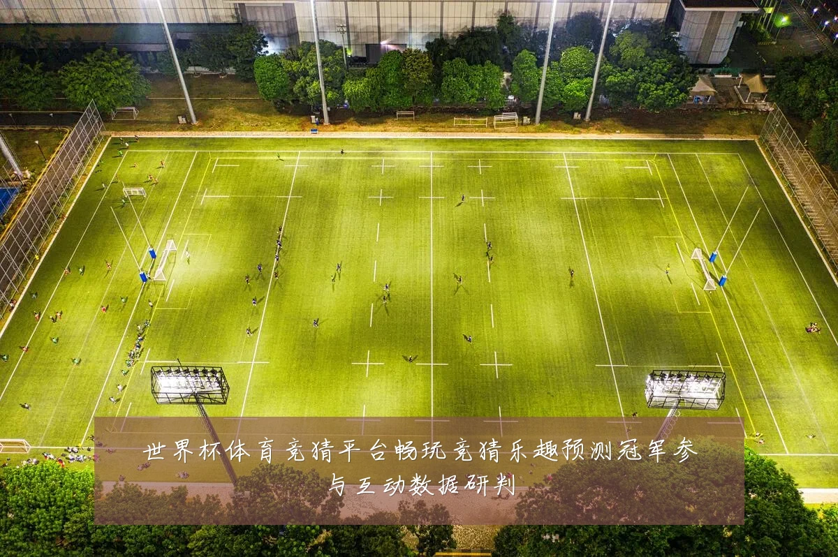 世界杯体育竞猜平台畅玩竞猜乐趣预测冠军参与互动数据研判